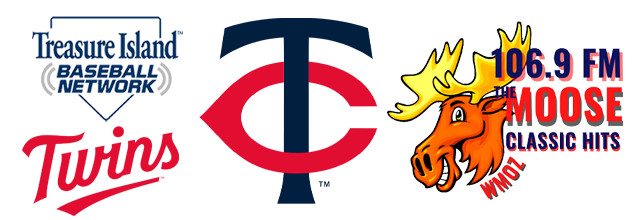 Twins logo